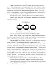 Įmonės organizacinė struktūra ir valdymas 12 puslapis