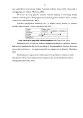 Įmonės organizacinė struktūra ir valdymas 14 puslapis