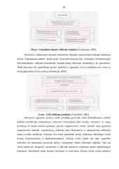 Įmonės organizacinė struktūra ir valdymas 18 puslapis