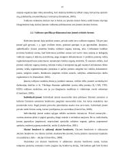 Įmonės organizacinė struktūra ir valdymas 19 puslapis