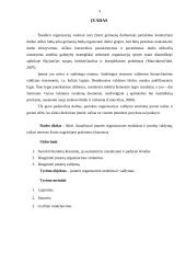 Įmonės organizacinė struktūra ir valdymas 3 puslapis