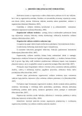 Įmonės organizacinė struktūra ir valdymas 4 puslapis