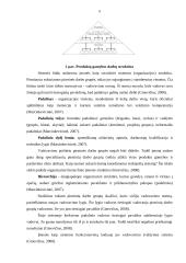 Įmonės organizacinė struktūra ir valdymas 6 puslapis