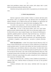 Įmonės organizacinė struktūra ir valdymas 8 puslapis