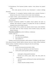 Įmonės personalo formavimas 13 puslapis