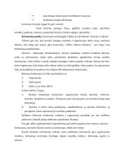 Įmonės personalo formavimas 14 puslapis