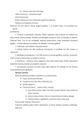 Įmonės personalo formavimas 17 puslapis