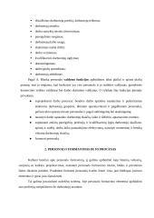 Įmonės personalo formavimas 7 puslapis