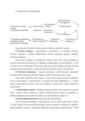 Įmonės personalo formavimas 8 puslapis