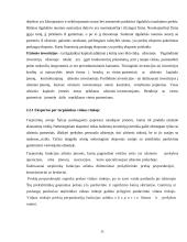 Įmonės plėtra ir rinkos plėtimo galimybės: UAB "Kraitenė" 11 puslapis