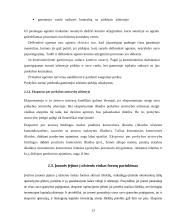 Įmonės plėtra ir rinkos plėtimo galimybės: UAB "Kraitenė" 13 puslapis
