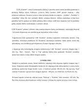 Įmonės plėtra ir rinkos plėtimo galimybės: UAB "Kraitenė" 17 puslapis