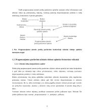 Įmonės plėtra ir rinkos plėtimo galimybės: UAB "Kraitenė" 4 puslapis
