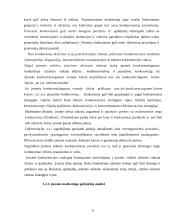 Įmonės plėtra ir rinkos plėtimo galimybės: UAB "Kraitenė" 6 puslapis
