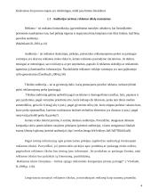 Įmonės reklamos organizavimas 4 puslapis