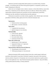 Įmonės reklamos organizavimas 6 puslapis