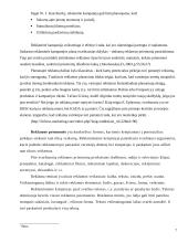 Įmonės reklamos organizavimas 7 puslapis