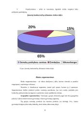 Įmonės rinkodara: UAB "Raleksa" 13 puslapis