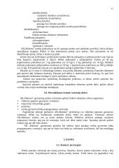 Įmonės rinkodaros komplekso elementų analizė: AB "Malsena" 11 puslapis