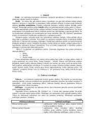 Įmonės rinkodaros komplekso elementų analizė: AB "Malsena" 3 puslapis