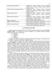 Įmonės rinkodaros komplekso elementų analizė: AB "Malsena" 4 puslapis