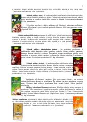 Įmonės rinkodaros komplekso elementų analizė: AB "Malsena" 7 puslapis