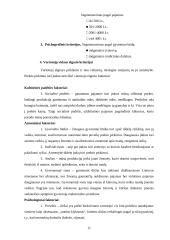 Įmonės rinkodaros planas: diržų gamyba UAB "Belts" 11 puslapis