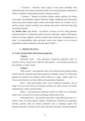 Įmonės rinkodaros planas: diržų gamyba UAB "Belts" 12 puslapis