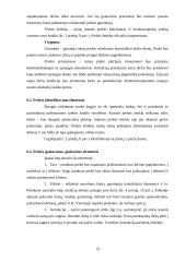 Įmonės rinkodaros planas: diržų gamyba UAB "Belts" 13 puslapis