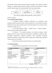 Įmonės rinkodaros planas: diržų gamyba UAB "Belts" 16 puslapis