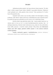 Įmonės rinkodaros planas: diržų gamyba UAB "Belts" 17 puslapis