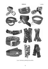 Įmonės rinkodaros planas: diržų gamyba UAB "Belts" 19 puslapis