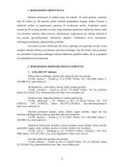 Įmonės rinkodaros planas: diržų gamyba UAB "Belts" 4 puslapis