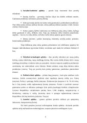 Įmonės rinkodaros planas: diržų gamyba UAB "Belts" 6 puslapis