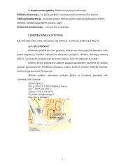 Įmonės rinkodaros planas: diržų gamyba UAB "Belts" 7 puslapis