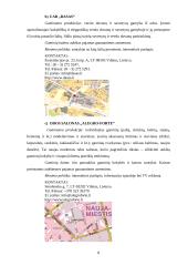 Įmonės rinkodaros planas: diržų gamyba UAB "Belts" 8 puslapis