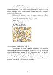 Įmonės rinkodaros planas: diržų gamyba UAB "Belts" 9 puslapis