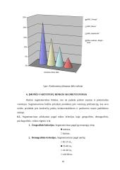Įmonės rinkodaros planas: diržų gamyba UAB "Belts" 10 puslapis