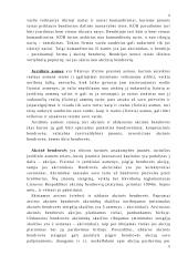 Įmonės samprata. Juridiniai įmonių tipai ir jų tarpusavio palyginimai 8 puslapis