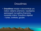 Sėkmingos įmonės santykiai su draudimo organizacijomis 2 puslapis