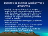 Sėkmingos įmonės santykiai su draudimo organizacijomis 11 puslapis