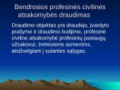 Sėkmingos įmonės santykiai su draudimo organizacijomis 12 puslapis