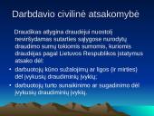 Sėkmingos įmonės santykiai su draudimo organizacijomis 13 puslapis