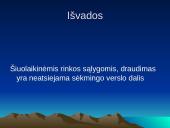 Sėkmingos įmonės santykiai su draudimo organizacijomis 16 puslapis