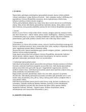 Konkrečios įmonės steigimo tvarka 4 puslapis