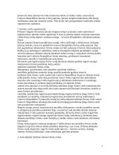 Konkrečios įmonės steigimo tvarka 5 puslapis