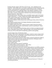 Konkrečios įmonės steigimo tvarka 6 puslapis