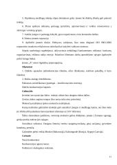 Įmonės strateginis planas 9 puslapis