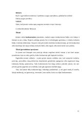 Įmonės strateginis planas 10 puslapis