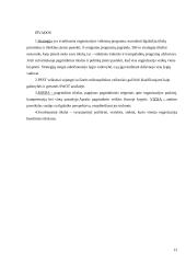 Įmonės strateginis planas 11 puslapis